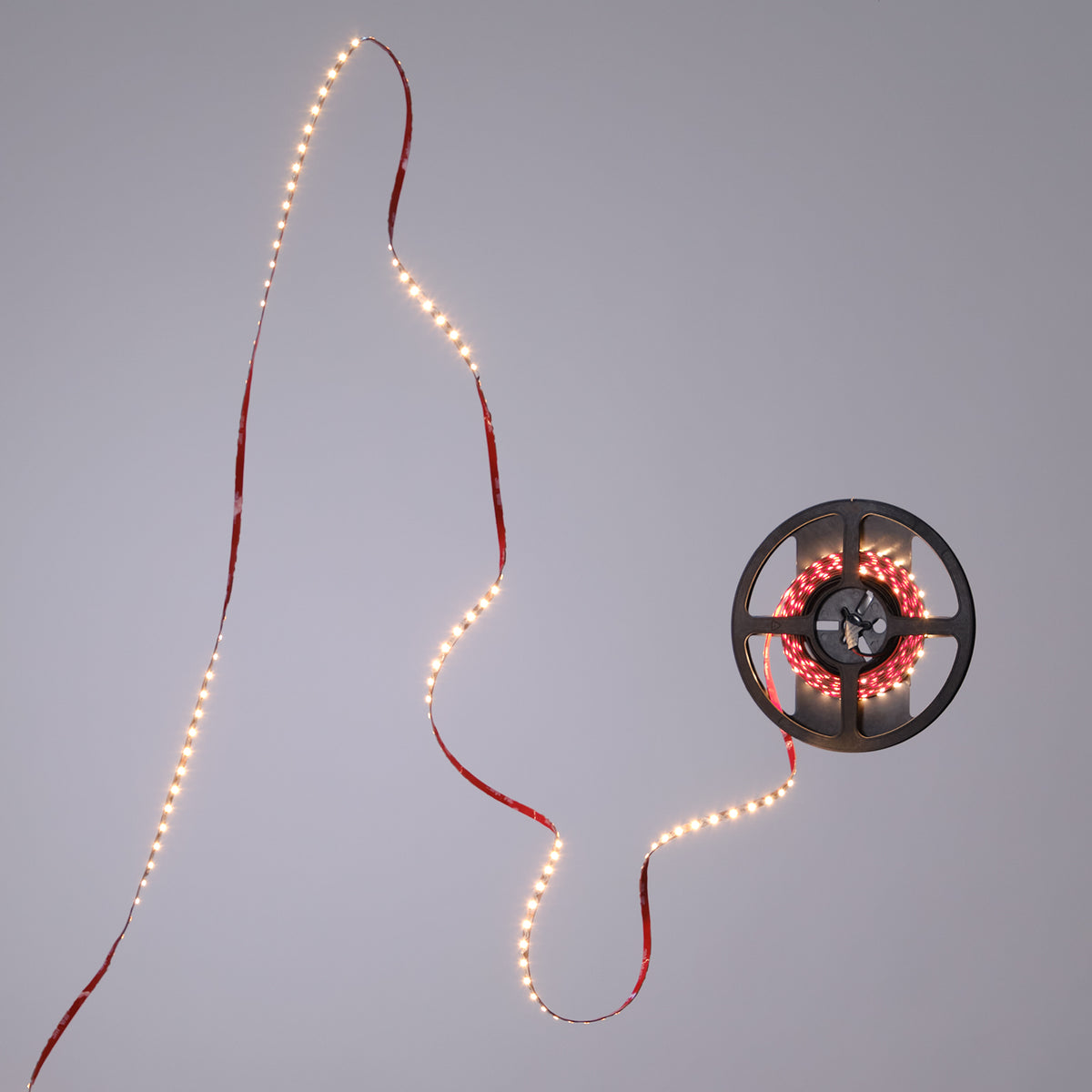 Led-nauha FTLIGHT S-type 6W/m, 24V, IP20, 5m