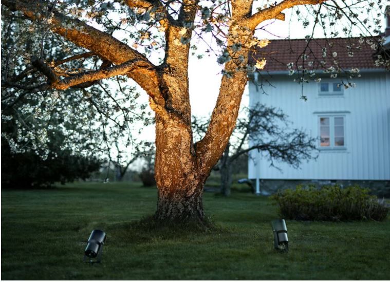 Maavalaisimet