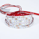 Led-nauha FTLIGHT Prime 12V, 4,8W/m, IP20, 5m