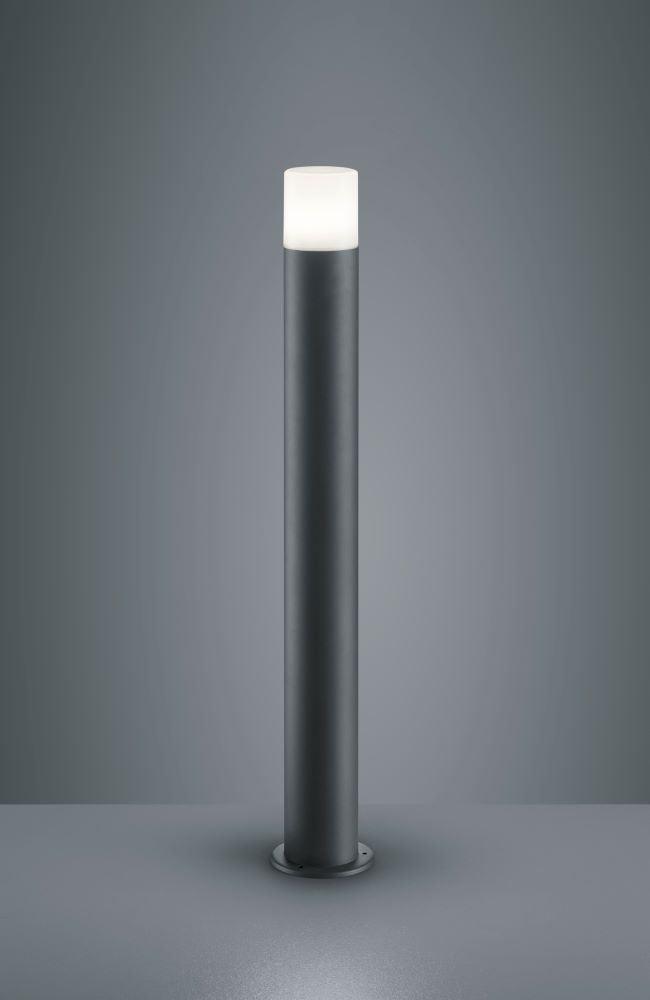 Pollarivalaisin Tiro Hoosic