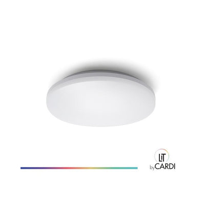 Yleisvalaisin LitbyCARDI Kajo, 10W, 1000lm, Ø300mm, IP54, himmennettävä